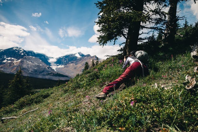 Krolavessia маршрут планина