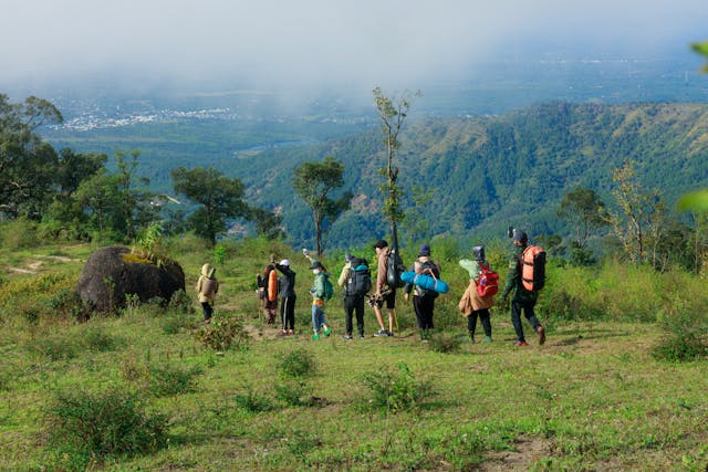 Krolavessia за нас