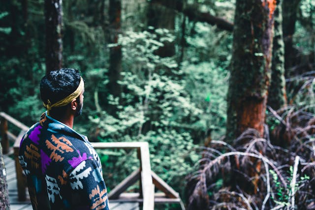 Krolavessia философия